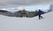 Trail Snowshoes Divonne-les-Bains - La Vatay Suisse - Photo 8