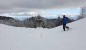 Tocht Sneeuwschoenen Divonne-les-Bains - La Vatay Suisse - Photo 8