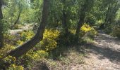 Trail Walking Lignan-sur-Orb - Sur les rives de l'Orb - Pont de Tabarka - Pont de Cazouls - Photo 19