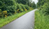 Trail Electric bike Saint Vith - Boucle Velo  Rodt 49 Km - Photo 5