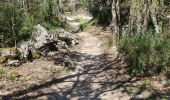 Trail Walking Saussines - saussines-capitelles - Photo 10