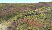 Tocht Stappen Crozon - Morgat - Pointe de la Chèvre - Photo 14