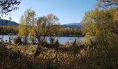 Tour Wandern L'Escale - Lac de Volonne depart L'Escale  + 50 - Photo 4