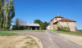 Randonnée Vélo de route Paron - 109 NE70 Lailly # Villeneuve l'Archevêque - Photo 1