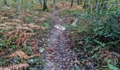 Excursión Senderismo Vendôme - Promenade dans la forêt de Vendôme  - Photo 8