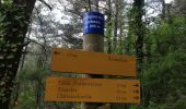 Tocht Stappen Châteaudouble - Le pont des sarazins par la fontaine des corbeaux - Photo 1