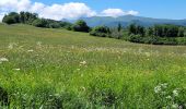 Tocht Stappen Besse-et-Saint-Anastaise - 270522 Besse / Chambon - Photo 5