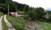 Tour Wandern Saint-Nizier-du-Moucherotte - Le bois de la Plagne- St Nizier du Moucherotte - Photo 16