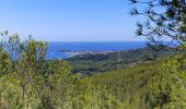 Trail Walking Sanary-sur-Mer - Tour du petit cerveau - Photo 1