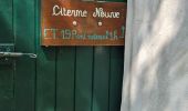 Trail Walking Belgentier - Pas de Belgentier  - Photo 10