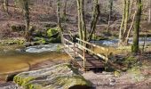 Tocht Stappen Gedinne - Balade à Malvoisin - Gedinne - Photo 8