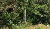 Tour Wandern Le Val-d'Ajol - Cascade de Faymont - Photo 2