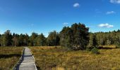 Tocht Stappen Frasne - tourbieres-de-frasne-bouverans-petite-boucle 2 - Photo 1