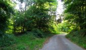Trail Walking Pierrefonds - en forêt de Compiègne_30_la Tournante sous le Mont Saint-Mard - Photo 6