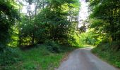 Tour Wandern Pierrefonds - en forêt de Compiègne_30_la Tournante sous le Mont Saint-Mard - Photo 6