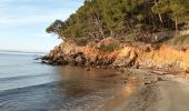 Tour Wandern La Londe-les-Maures - De l'Argentière à la Vignasse A/R 02-02-24 - Photo 2