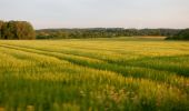 Tour Zu Fuß Gomadingen - Rund um den Lämmerbuckel - Photo 2