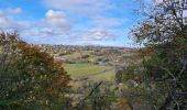 Trail Walking La Bourboule - Bourboule-puy-st-roch-retour-Bourboule - Photo 9