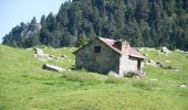 Trail Walking Cauterets - Plateau du Lisey - Photo 1