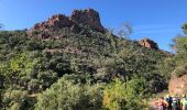 Trail Walking Saint-Raphaël - Collines et vallons de l'Esterel - Photo 7