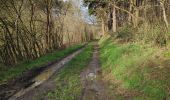 Trail Walking Herent - VELTEM - Photo 2