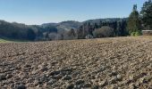 Trail Walking Anhée - Maredsous 040322 - Photo 4