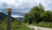 Tour Wandern Glandage - L'Aupillon (Glandage) - Photo 7