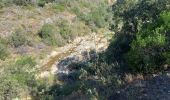 Percorso Marcia Roquebrune-sur-Argens - Circuit de l'eau - Photo 7