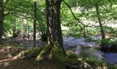 Tocht Hybride fiets Verviers - Bois du Staneux 1 - Photo 2