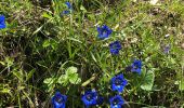 Trail Walking Saint-Martin-de-Clelles - Goût ARGOUD 24-05-2021 - Photo 3