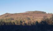 Tour Wandern Wellin - Randonnée Wellin, forêt St.Hubert  - Photo 13