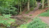 Trail Walking Berdorf - Mullerthal Balisage E1 - Photo 16