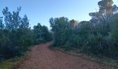Trail Walking Quinson - verdon basse gorge via ravin ste marguerite et chapelle ste marguerite  - Photo 13