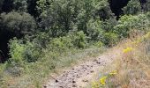 Trail Walking Saint-Victor-la-Rivière - LA FORET DE COURBANGES - Photo 6