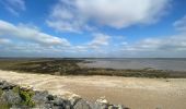 Trail Walking Port-des-Barques - Île Madame - Photo 3