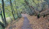 Trail Walking Durbuy - Bois et champs.  - Photo 9