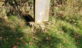 Randonnée Marche Houffalize - Engreux 021122 - Photo 14