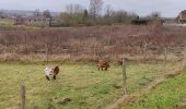 Tocht Stappen Floreffe - Bois du Skerpia et du Poujoux - Photo 4