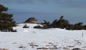 Trail Cross-country skiing Saint-Anthème - Plan chevalat - Photo 4