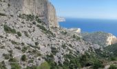 Randonnée Marche Marseille - Boucle - aiguille Guillemain - Mont Puget - col de la Candelle - Photo 3
