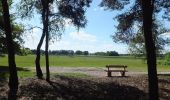 Tour Zu Fuß Nederweert - Paardenbegrazing - Photo 5