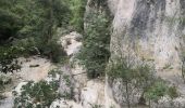 Randonnée Marche Oppedette - Gorges d'Oppedette - Photo 6