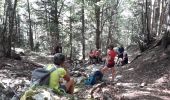 Excursión Marcha nórdica Engins - le Sornin et Plinouze - Photo 4