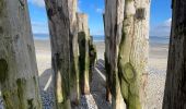 Tour Wandern Cayeux-sur-Mer - Le Hourdel - Photo 12