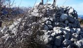 Tour Wandern Bézaudun-les-Alpes - Bezaudun L'Estellier - Photo 2