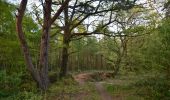 Tocht Te voet East Devon - Hayes Barton Heritage Trail - Photo 6