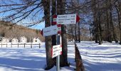 Trail On foot Masera - A10 - Masera - Cima la Sella - Photo 2