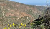 Excursión Senderismo Ingenio - Barranco de Guayadeque (Gran Canaria) - Photo 12