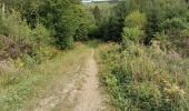 Trail Walking Bouillon - Curfoz- moulin de l'épine-Curfoz - Photo 10