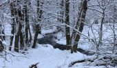 Excursión Senderismo Murol - Le tour de Beaune le froid  - Photo 15